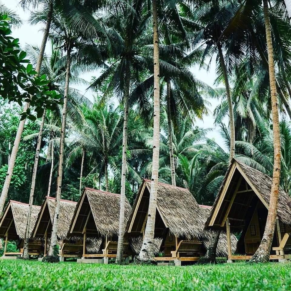 Loboc Nipa Huts Cottages Rental ภายนอก รูปภาพ
